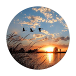 web et environnement
