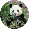 web et environnement